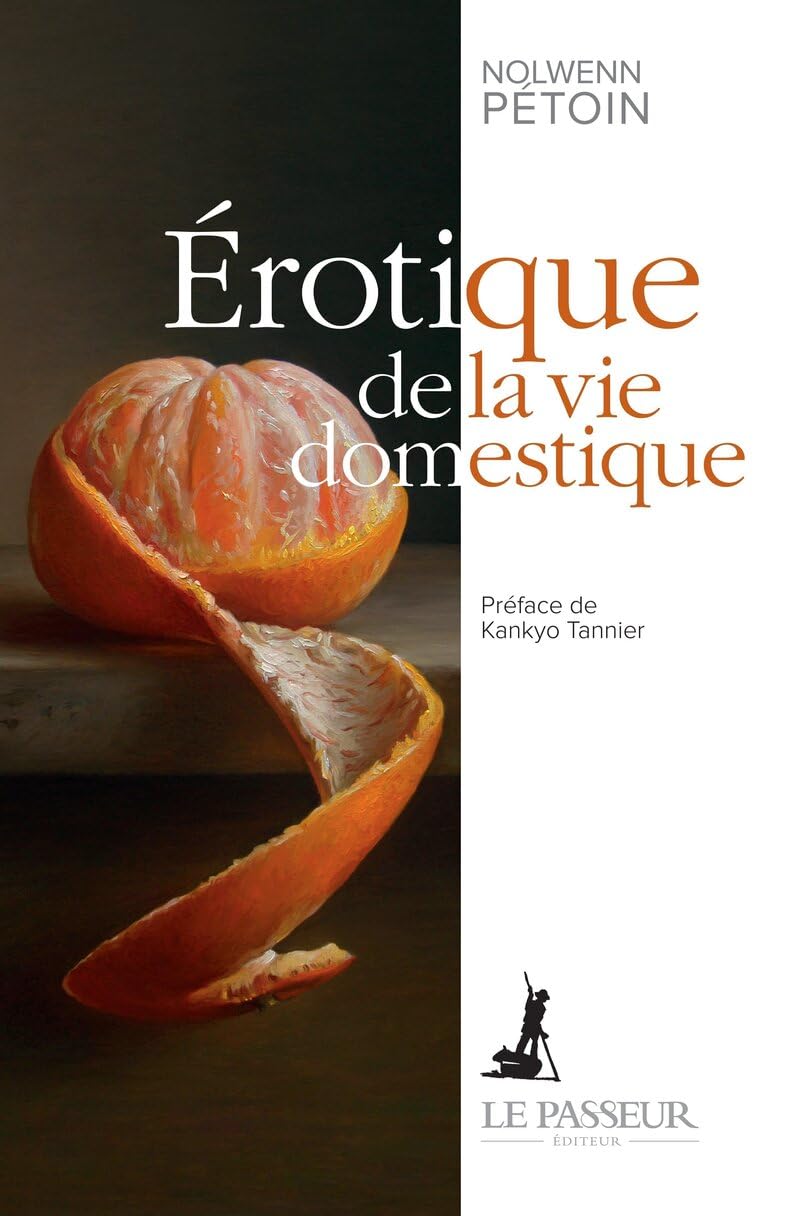 Érotique de la vie domestique book