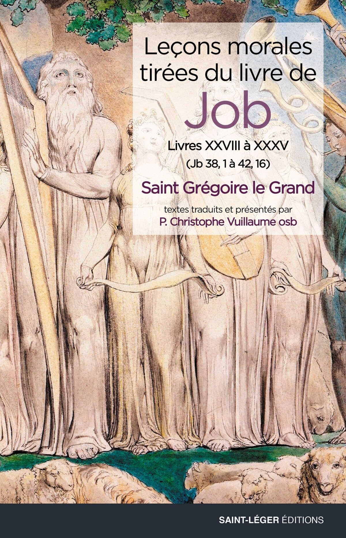 Leçons morales tirées du livre de Job: Livres XXVIII à XXXV book