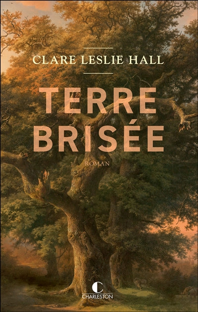 Product Image: Terre brisée