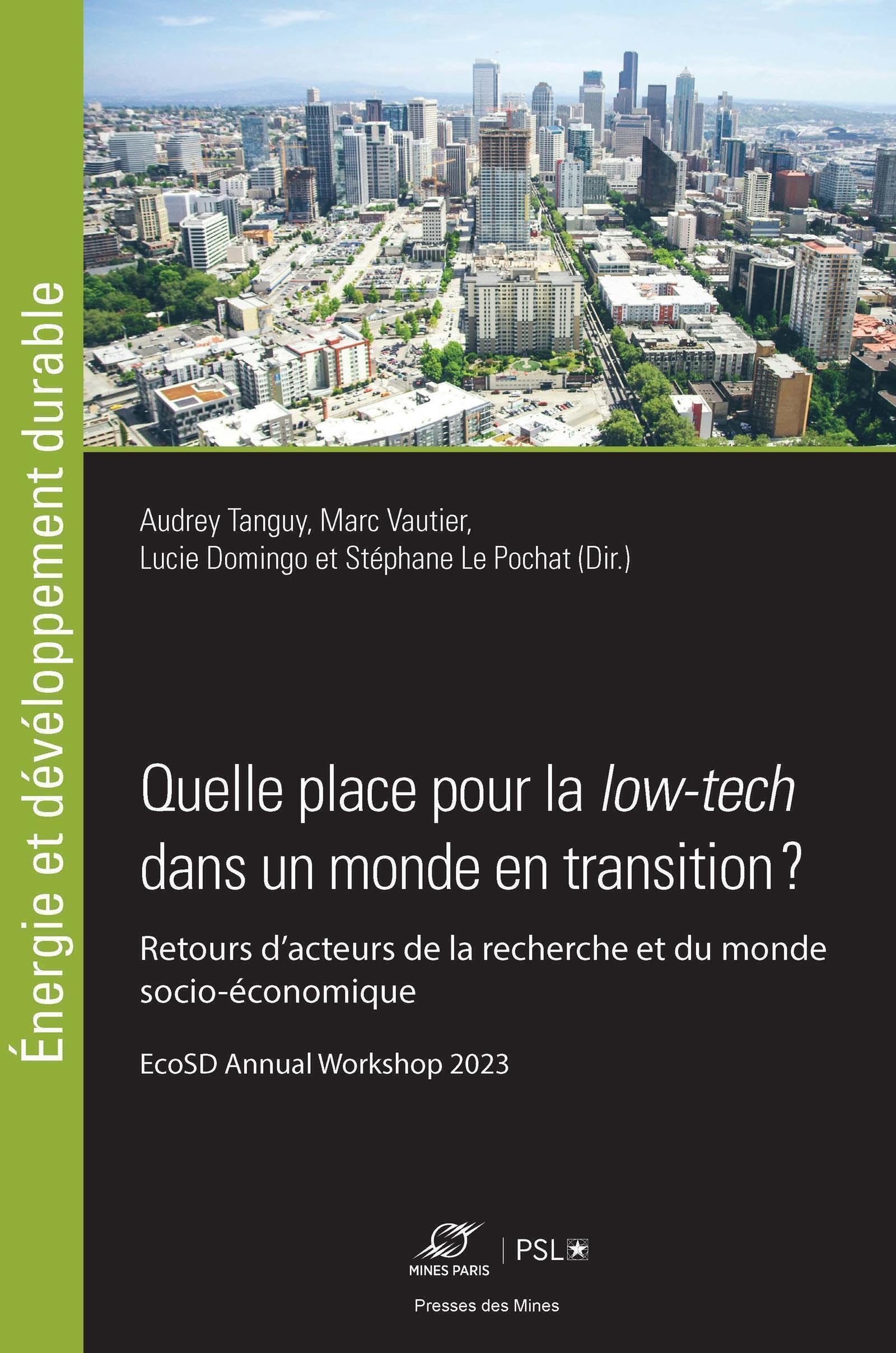 Quelle place pour la low-tech dans un monde en transition ?: Retours d'acteurs de la recherche et du monde socio-économique book
