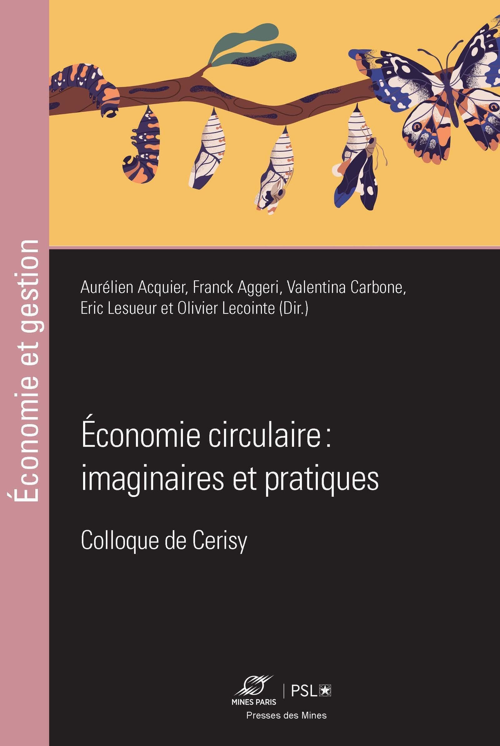 Economie circulaire : imaginaires et pratiques book