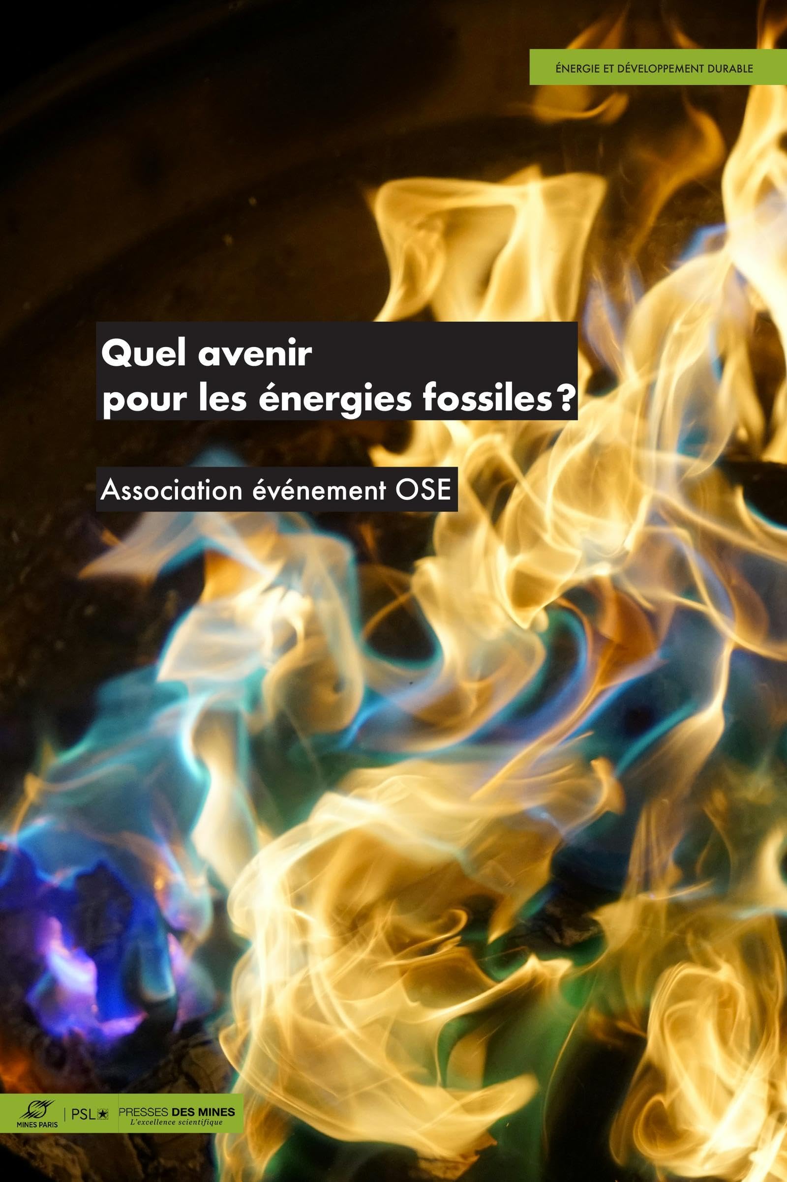 Quel avenir pour les énergies fossiles? book