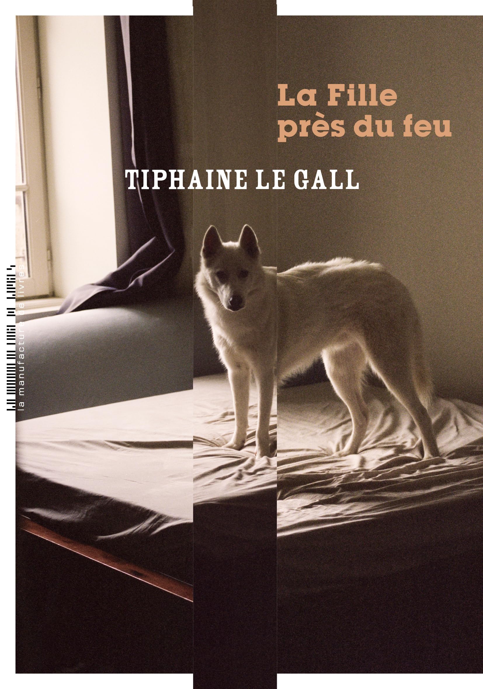 La fille près du feu Contemporary literature