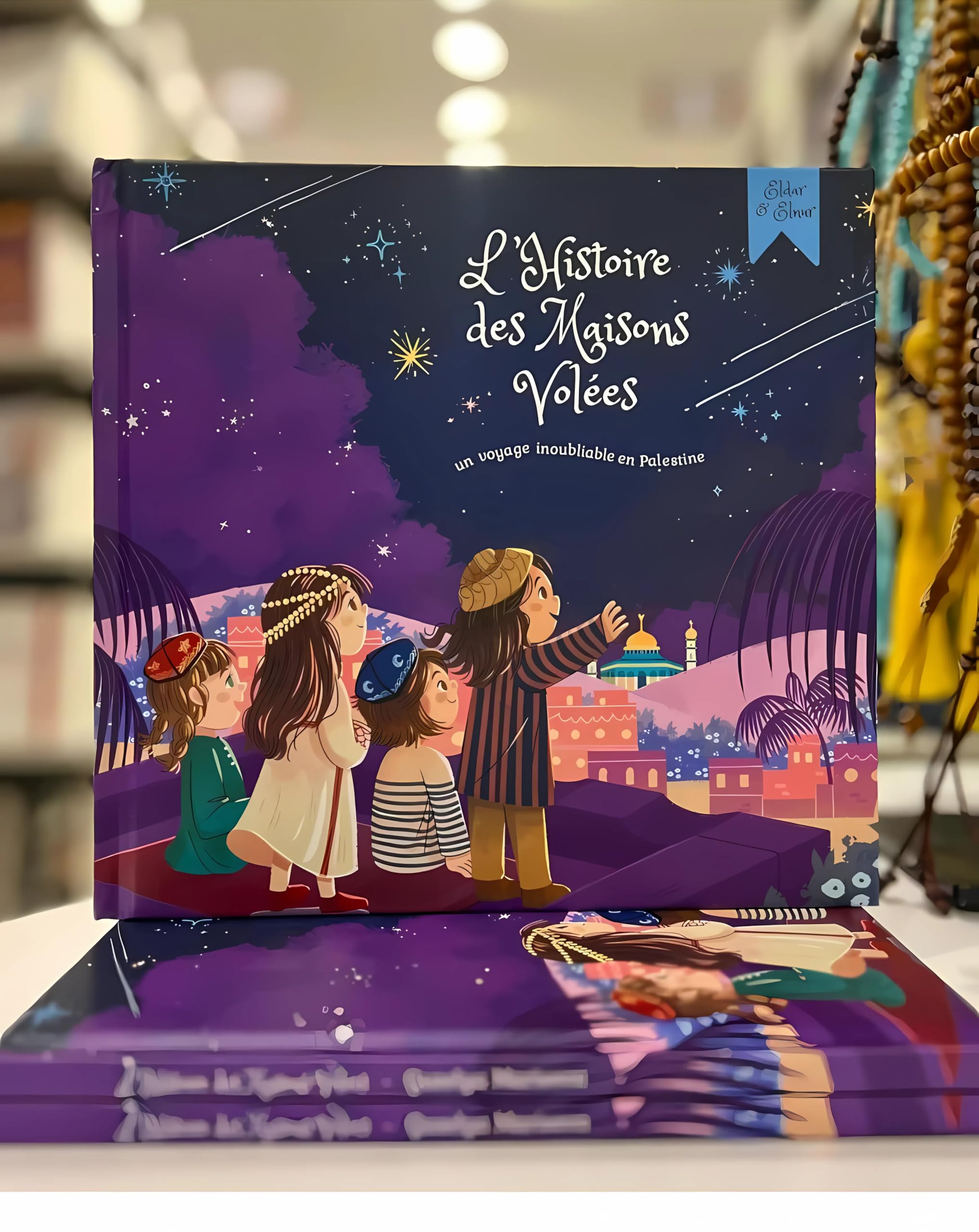 L'Histoire des Maisons Volées book
