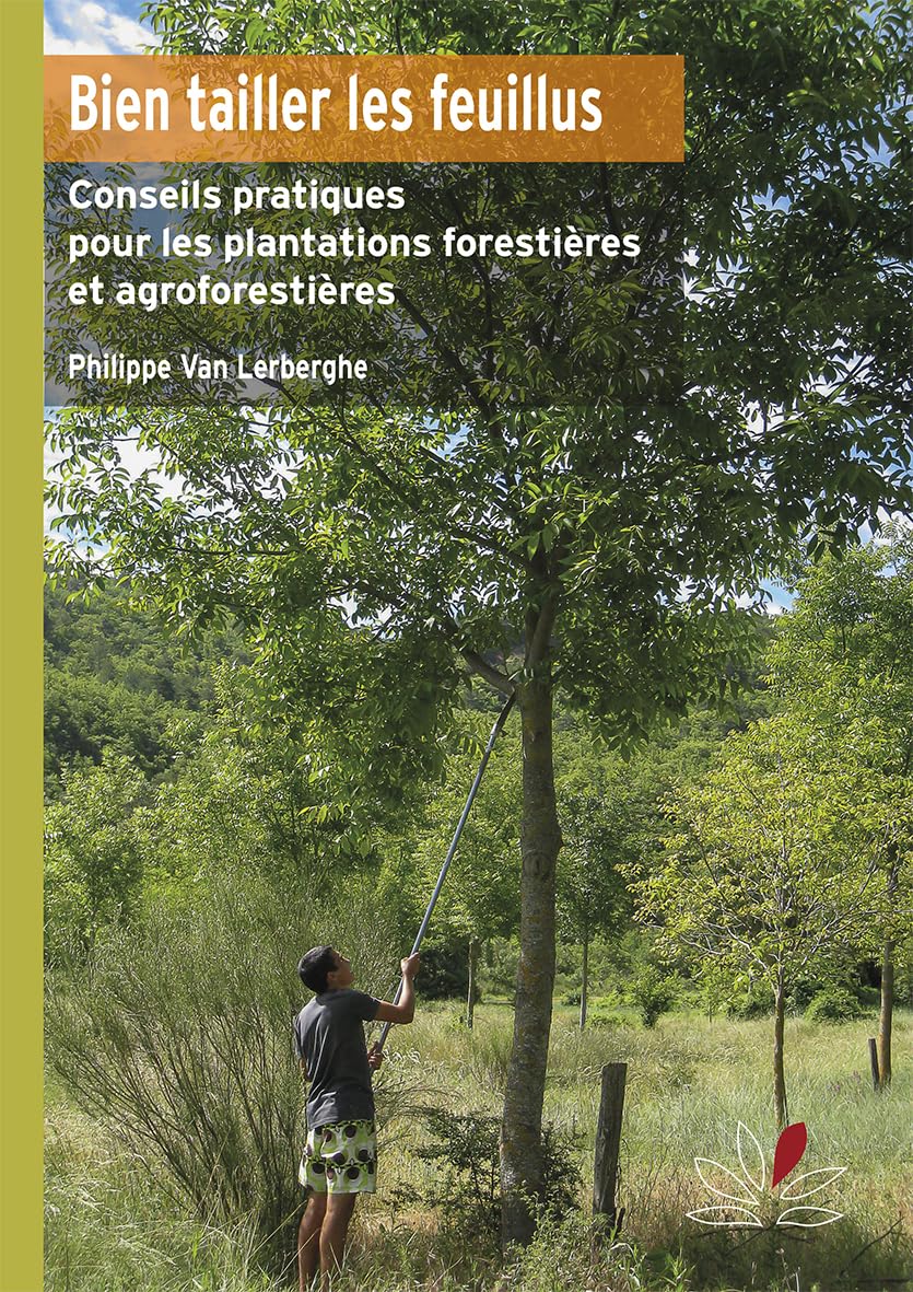 Bien tailler les feuillus: Conseils pratiques pour l'entretien des plantations forestières et agroforestières book