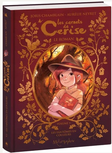 Les carnets de Cerise : le roman. Vol. 1. Les fantômes en couleurs book
