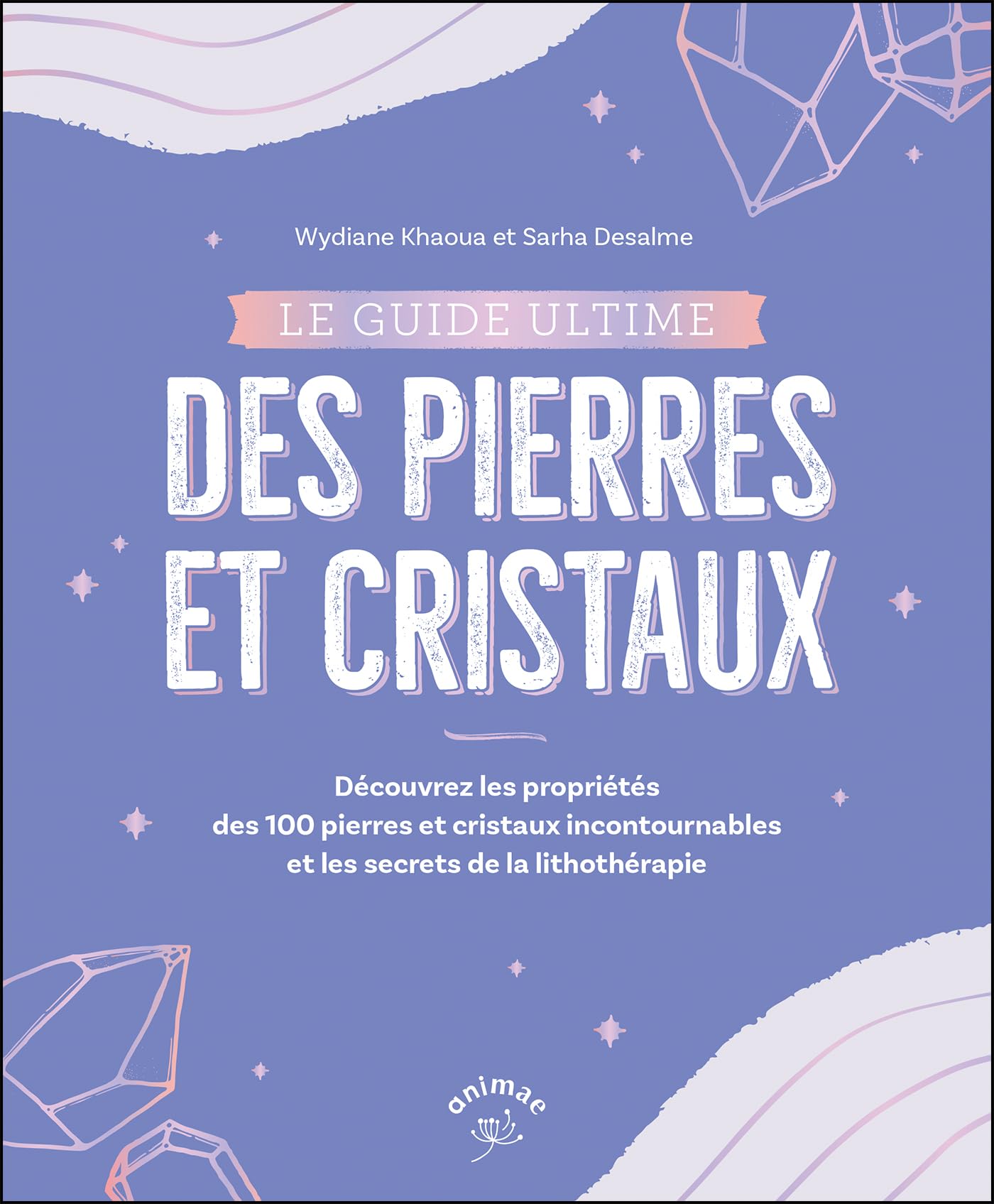 Le guide ultime des pierres et cristaux: Décrypter les bienfaits de 100 pierres et cristaux book
