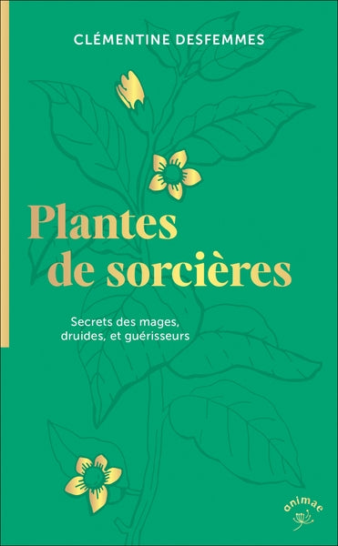 Plantes de sorcières : secrets des mages, druides et guérisseurs Religion & Esotericism