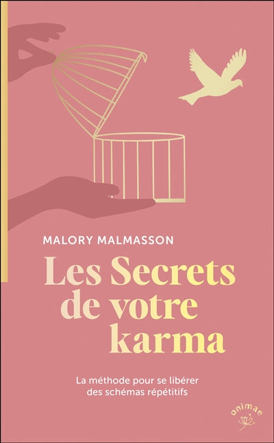 Product Image: Les secrets de votre karma : la méthode pour se libérer des schémas répétitifs