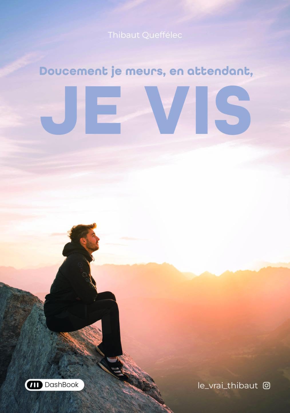 Doucement je meurs, en attendant je vis book