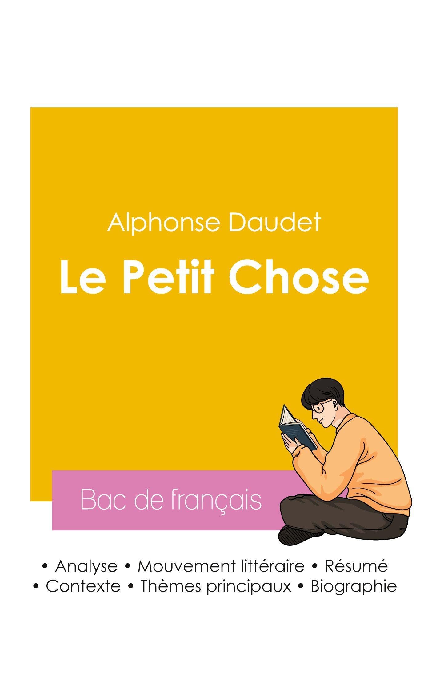 Réussir son Bac de français 2026 : Analyse du roman Le Petit Chose de Alphonse Daudet Study Guides