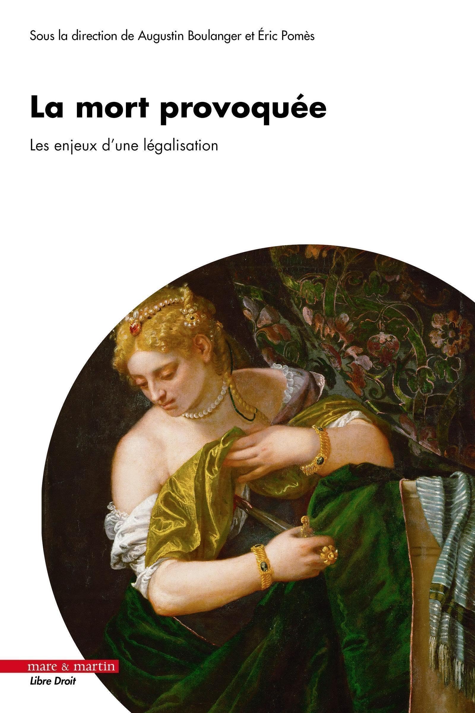 La mort provoquée: Les enjeux d'une légalisation book