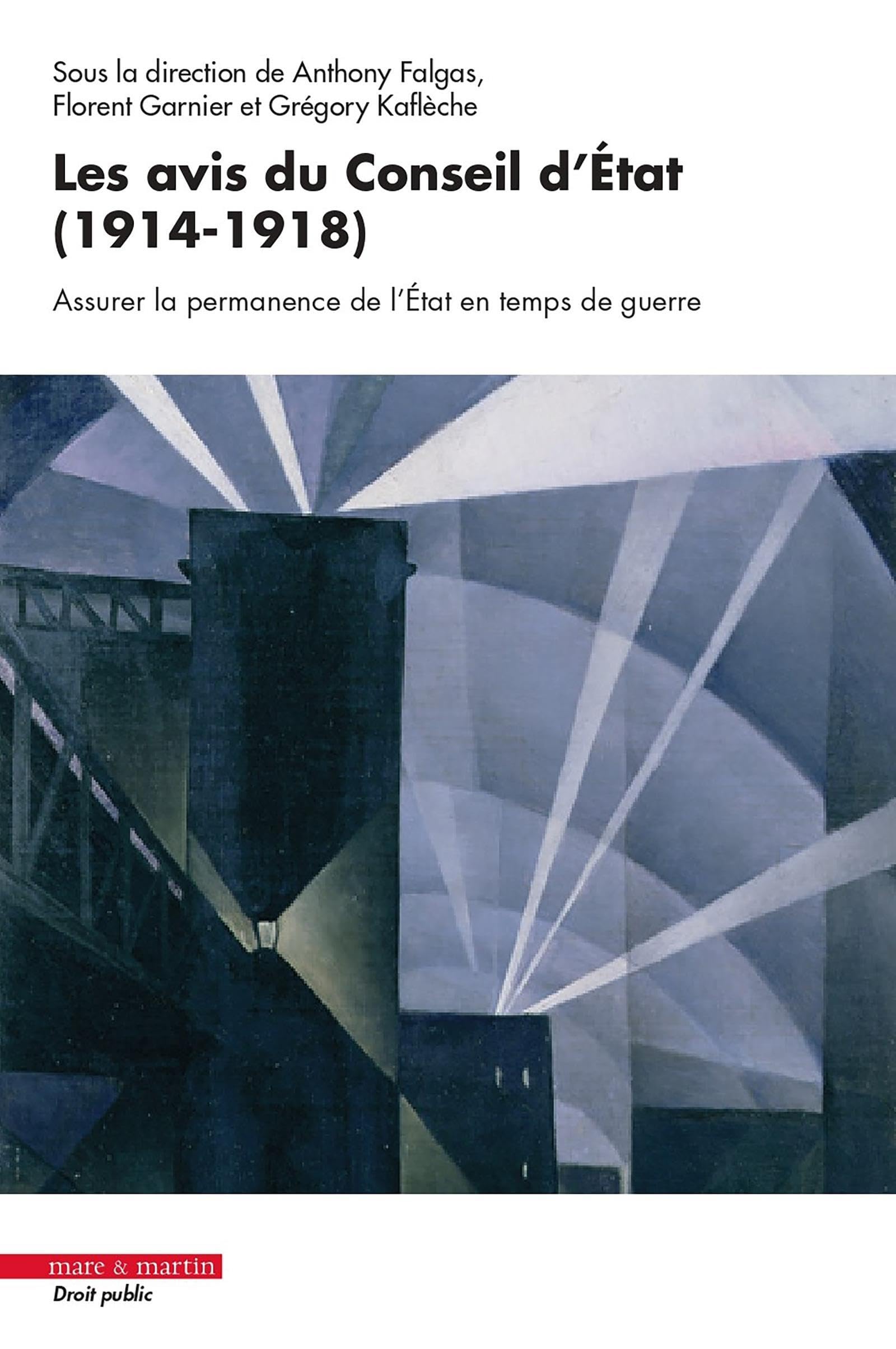 Les avis du Conseil d'État (1914-1918): Assurer la permanence de l'État en temps de guerre book