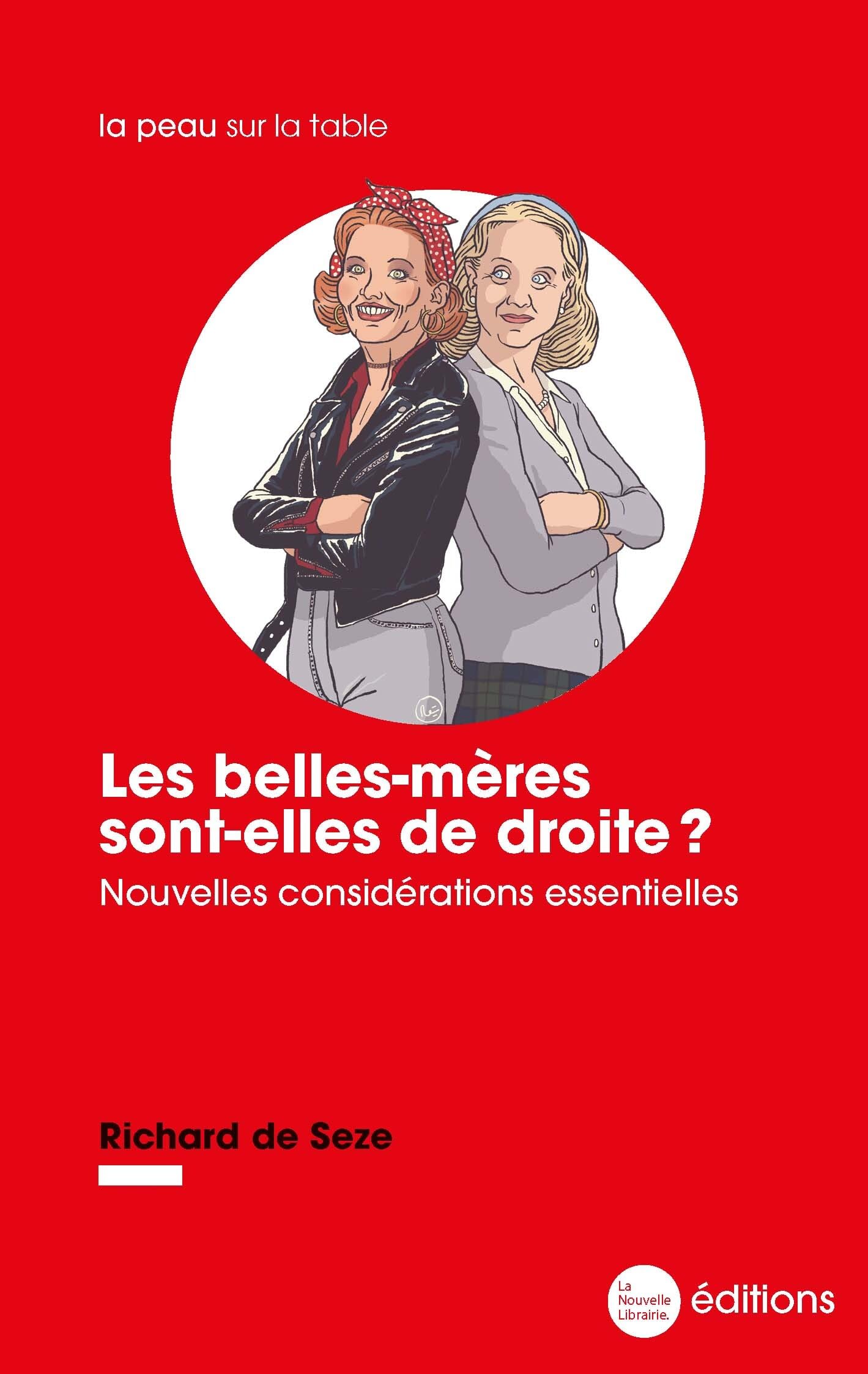 Les belles-mères sont-elles de droite ?: Nouvelles considérations essentielles Contemporary literature