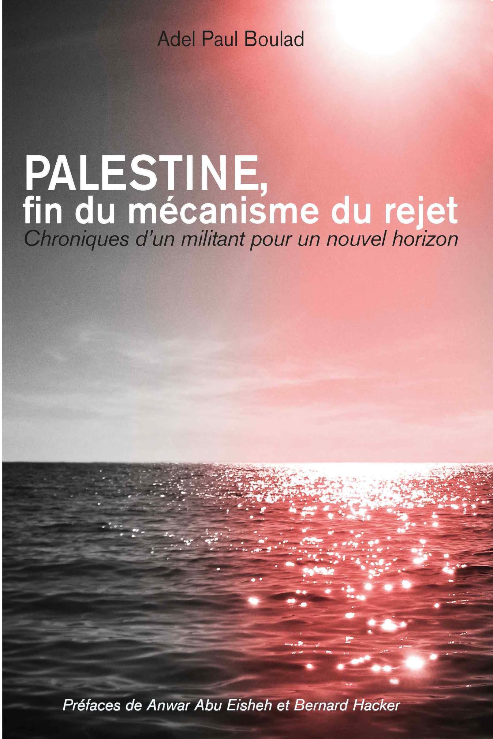 PALESTINE. Fin du mécanisme du rejet: Chroniques d'un militant pour un nouvel horizon Essays & Short Stories