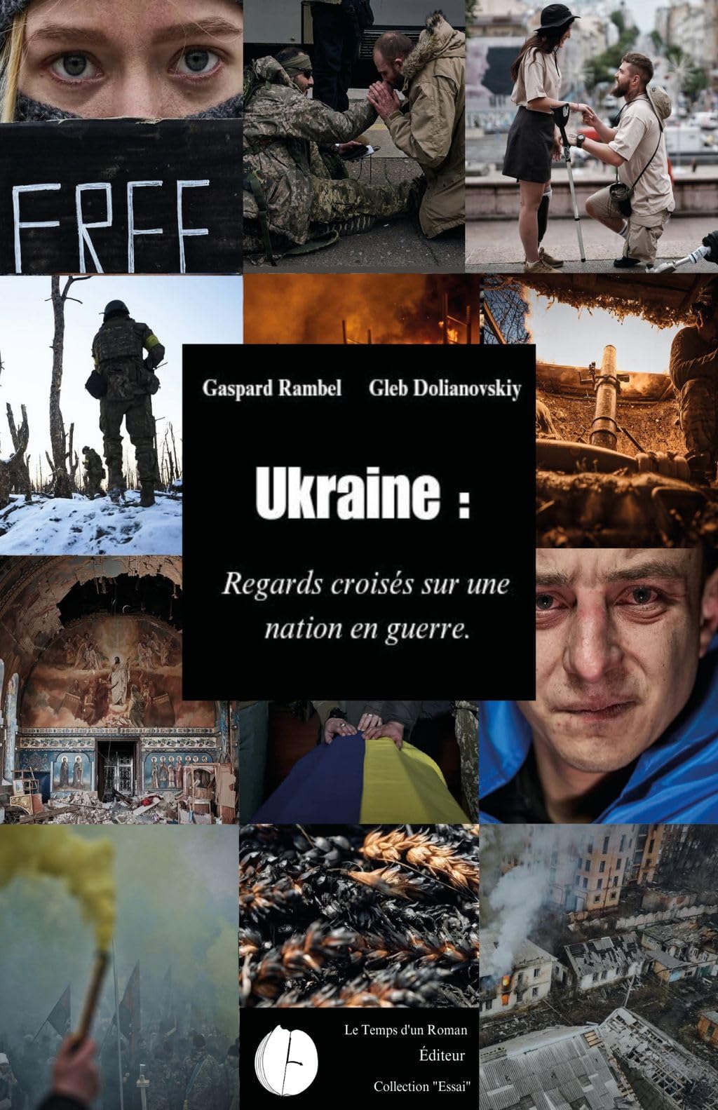 Ukraine : Regards croisés sur une nation en guerre book