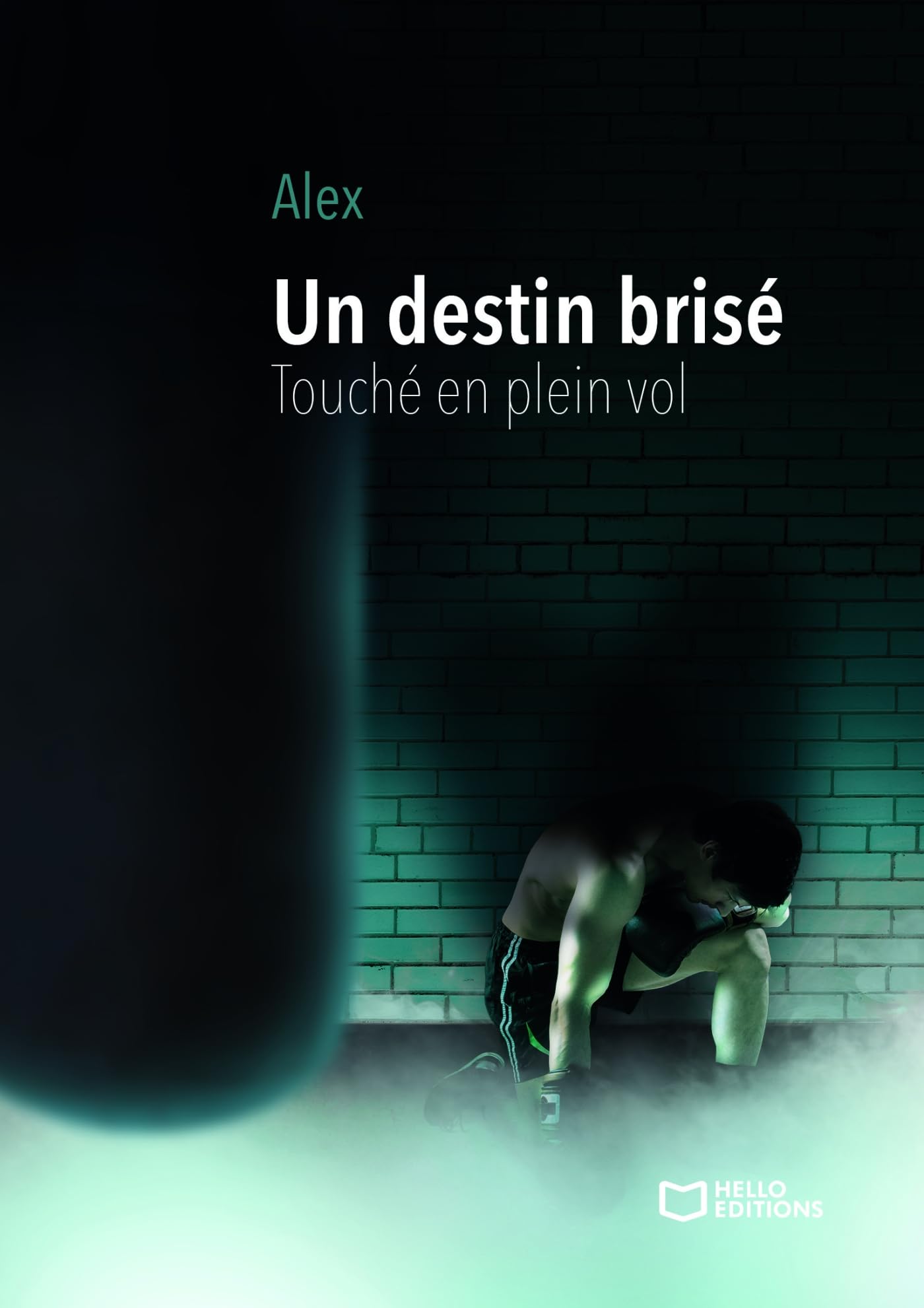 Un destin brisé - Touché en plein vol book