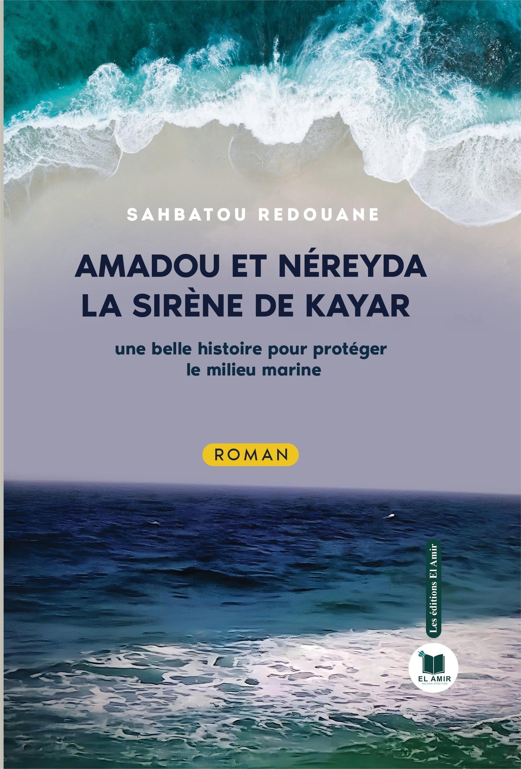 Amadou et Néreyda, La siréne de Kayar: Une belle histoire pour protéger le milieu marine book