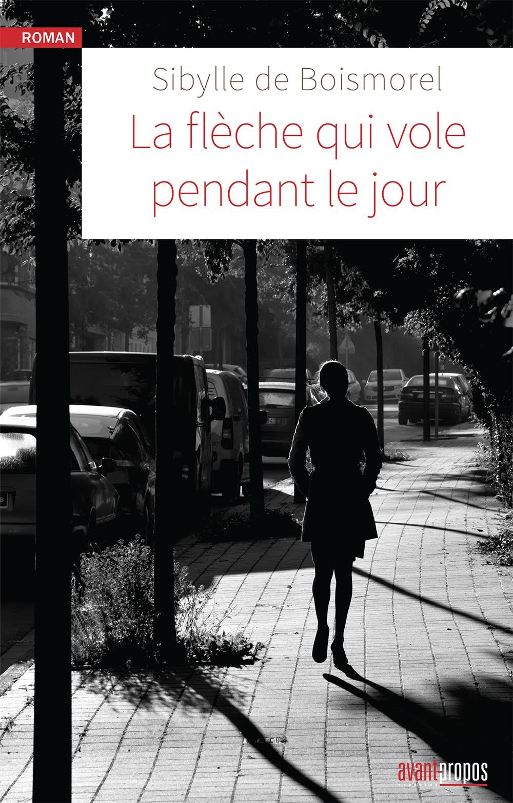 La flèche qui vole pendant le jour book