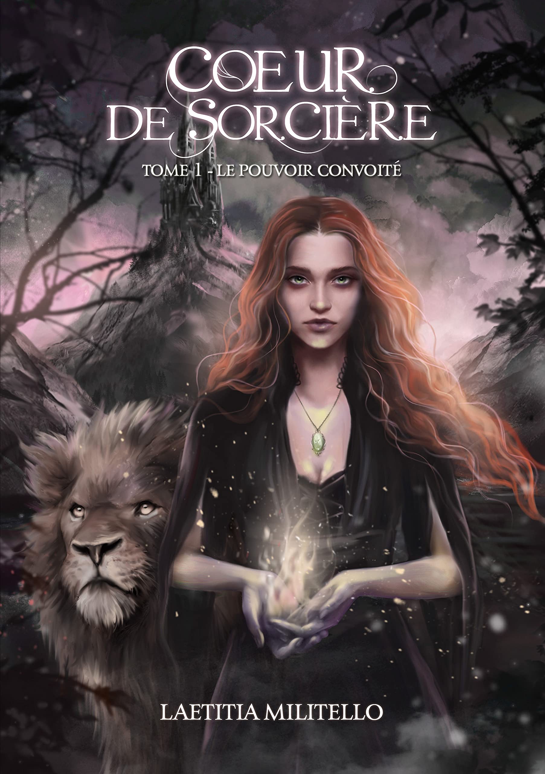 Coeur de Sorcière T1: Tome 1 : Le pouvoir convoité book