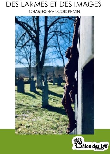 Des Larmes et des Images Contemporary literature