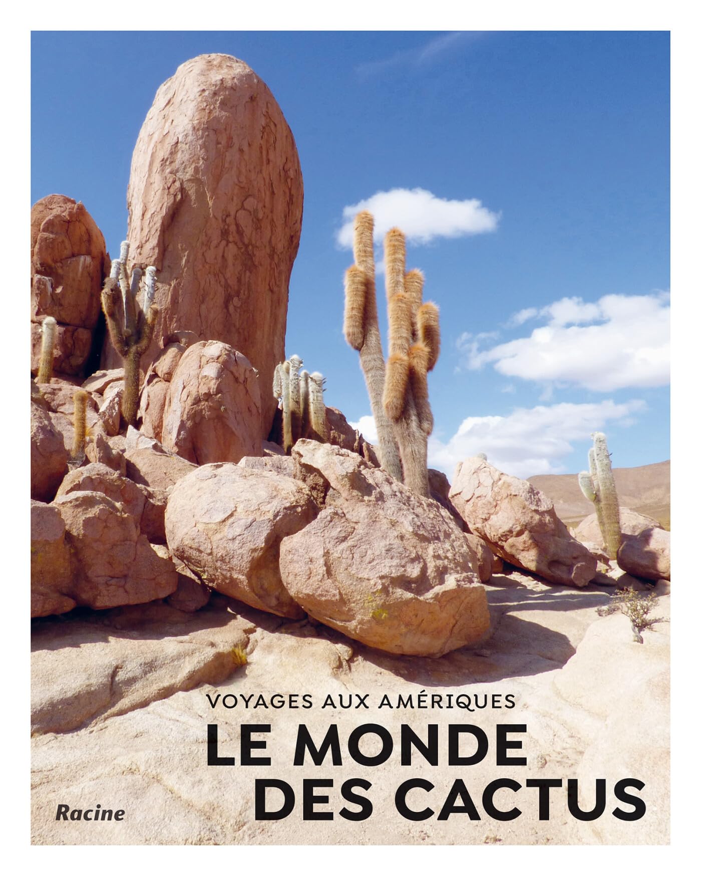 Le monde des cactus voyages aux ameriques book