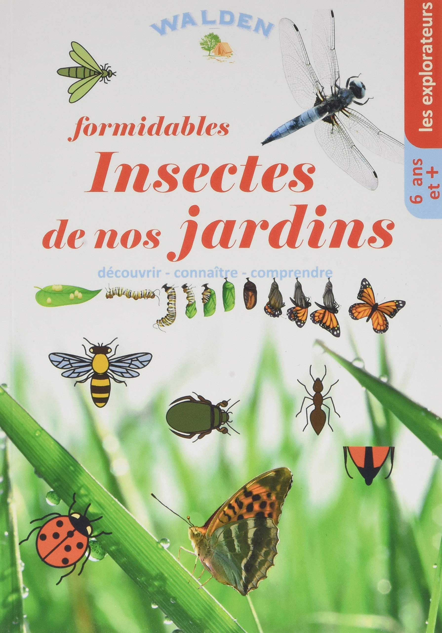 Formidables insectes de nos jardins: Découvrir - connaître - comprendre book