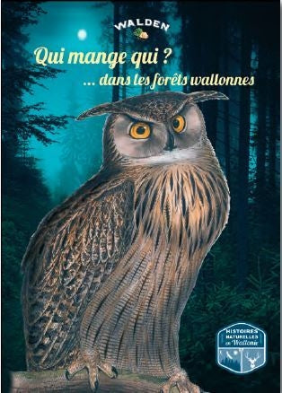 Qui mange qui ? : ... dans les forêts wallonnes Non-fiction