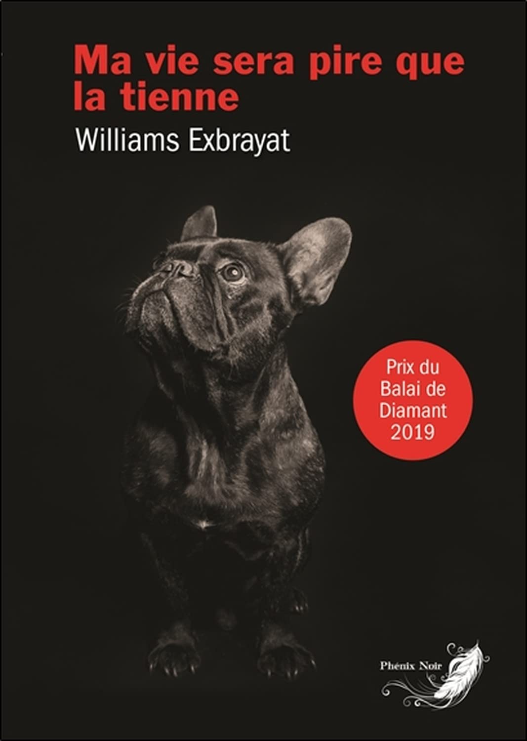 Ma vie sera pire que la tienne Contemporary literature