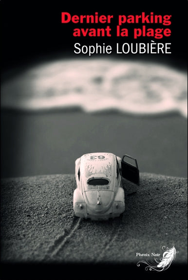 Dernier parking avant la plage : roman noir Contemporary literature