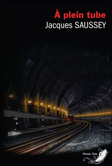 A plein tube : une enquête de Tomas Burren : thriller Contemporary literature