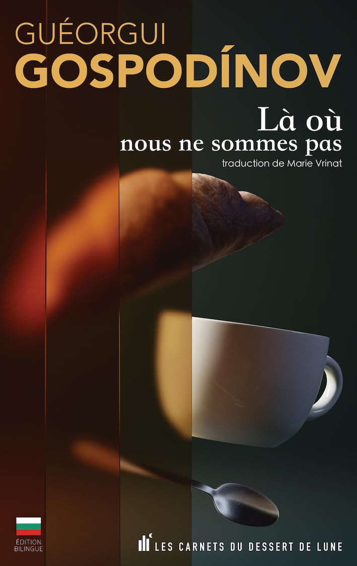 Là où nous ne sommes pas book