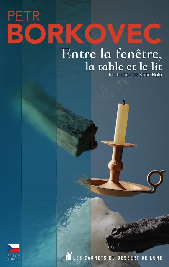 Entre la fenêtre, la table et le lit book
