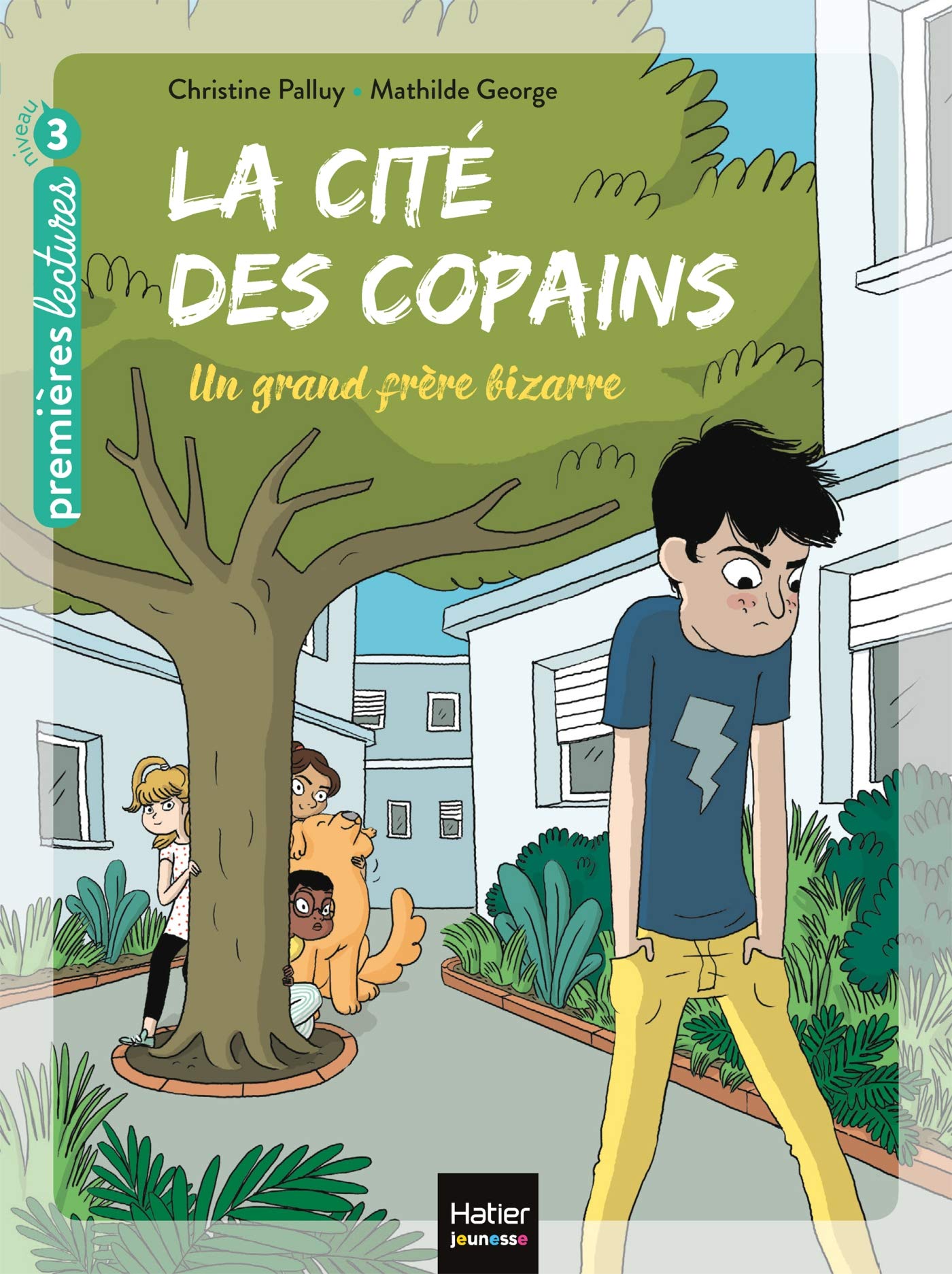 La cité des copains - Un grand frère bizarre CP/CE1 6/7 ans book
