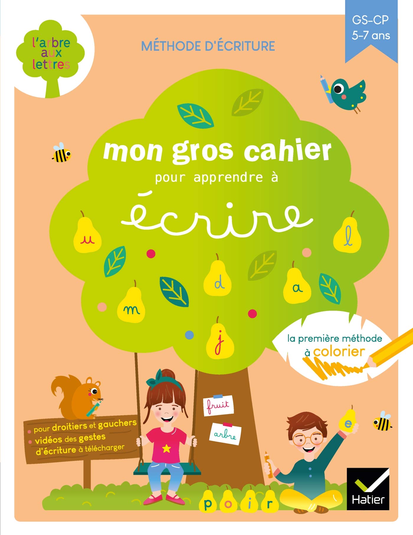 Mon gros cahier pour apprendre à écrire Professional & Reference Books