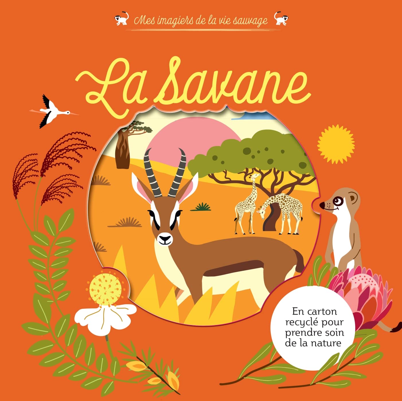Mes imagiers de la vie sauvage - La savane book