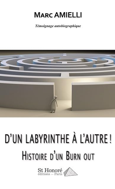 D'un labyrinthe à l'autre !: Histoire d'un Burn out book