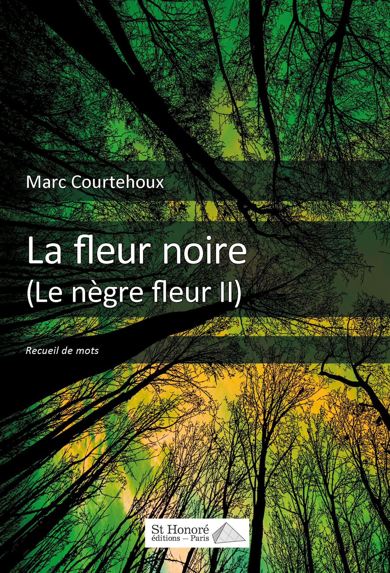 Le Nègre Fleur II- La fleur Noire book