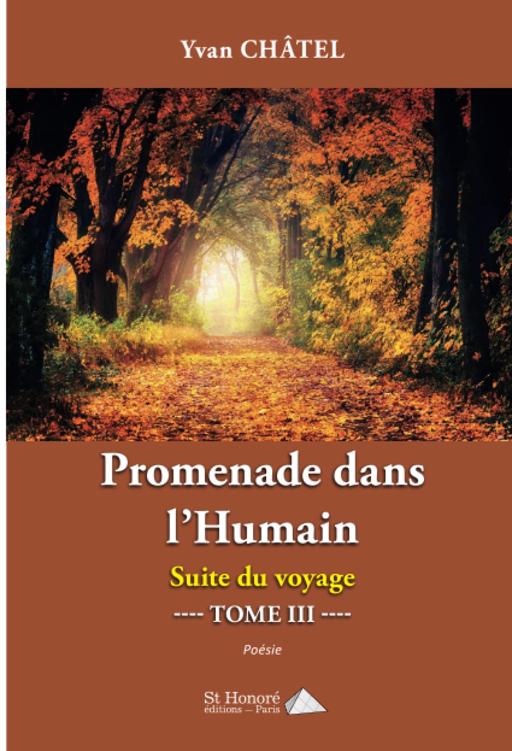 Promenade dans l'humain tome III ; Suite du voyage book