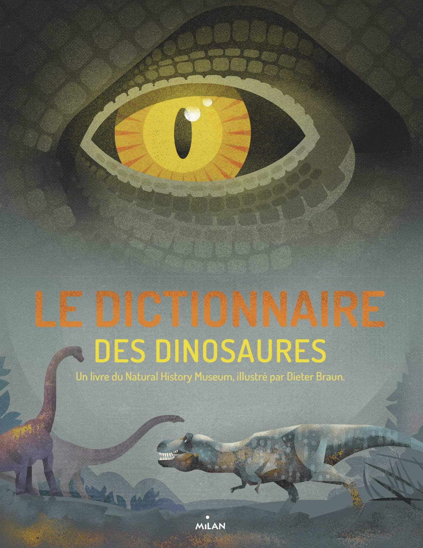 Le dictionnaire des dinosaures book