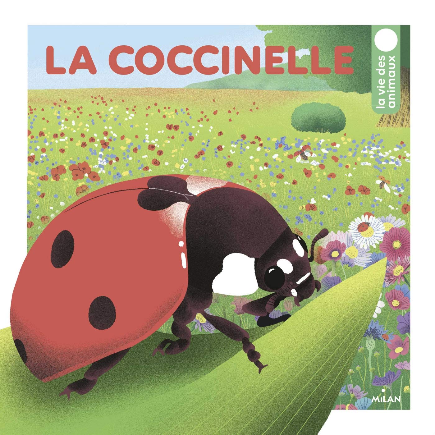 Product Image: La coccinelle