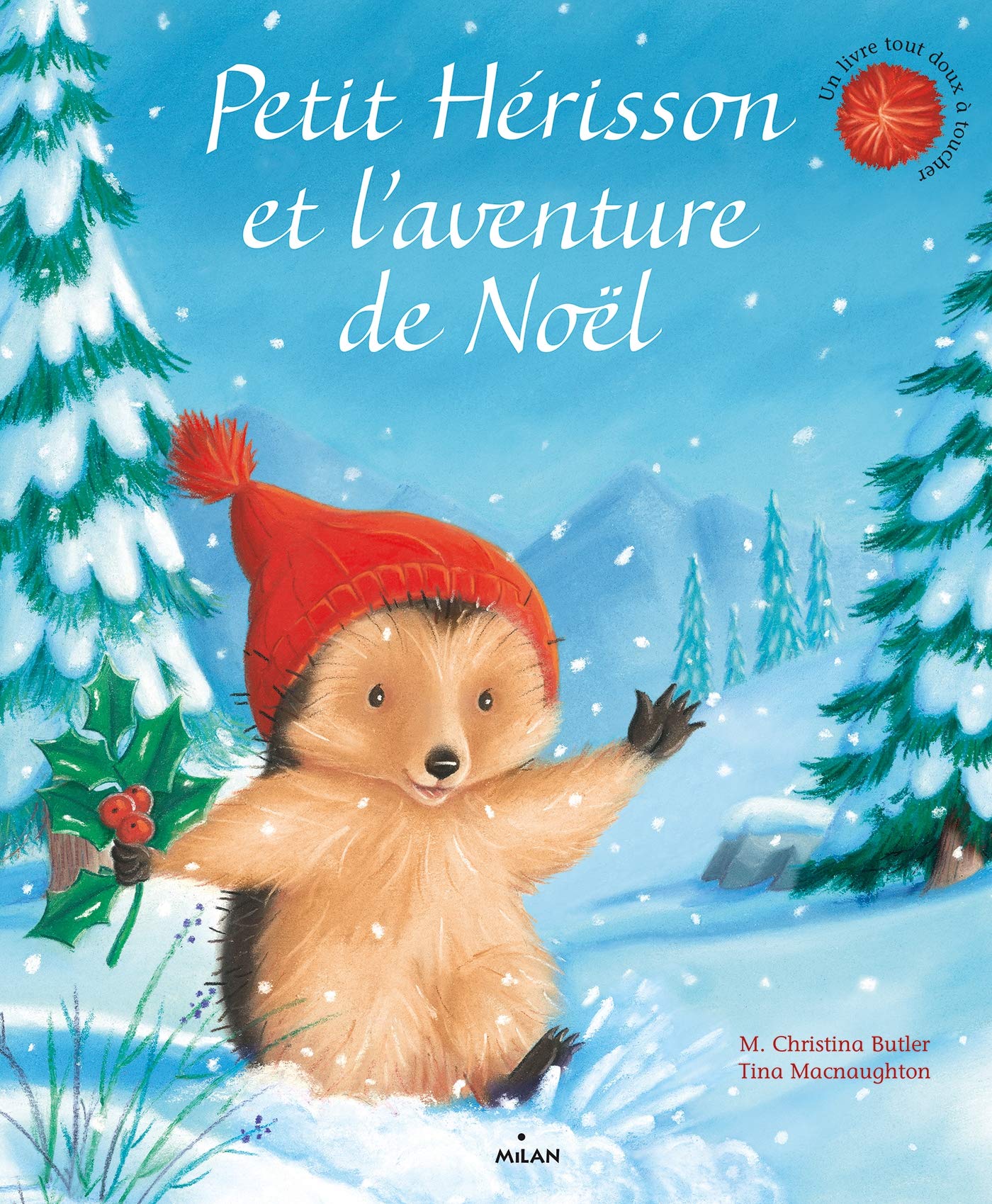 Petit Hérisson et l'aventure de Noël book