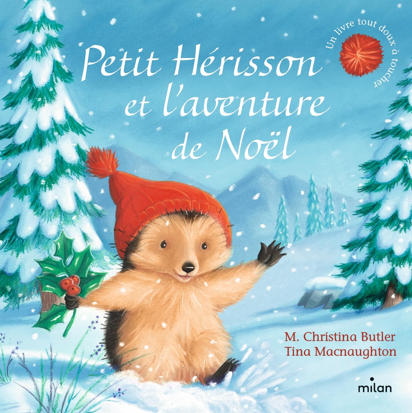 Petit Hérisson et l'aventure de Noël (tout-carton) book