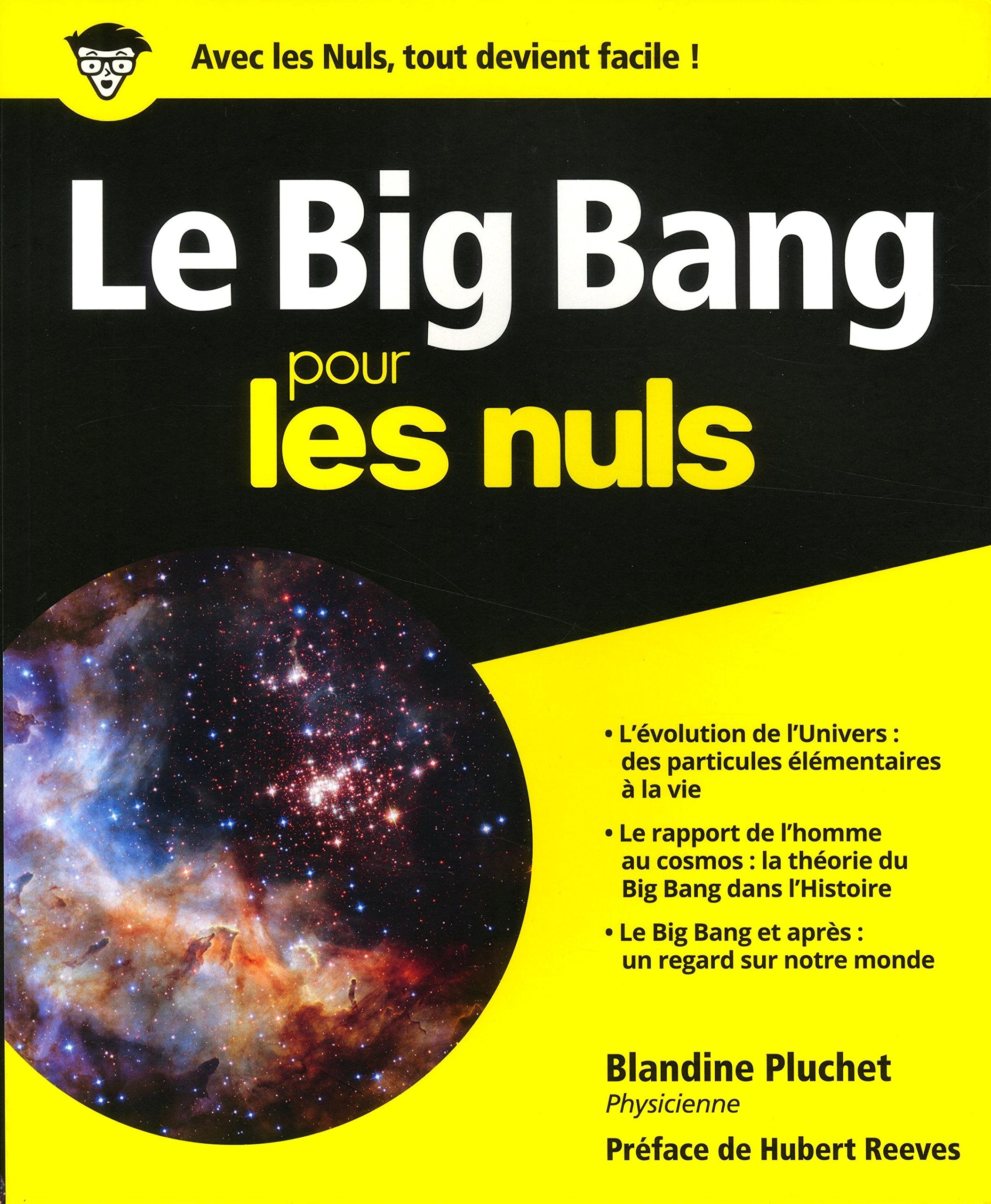 Le Big Bang pour les Nuls book