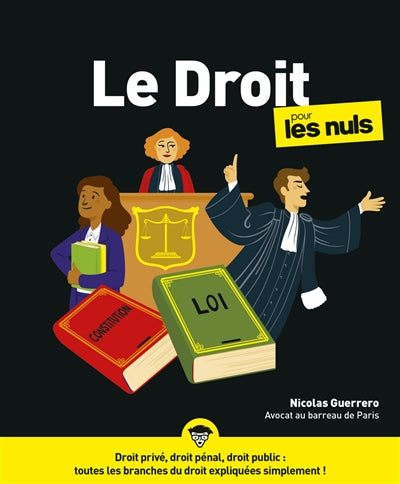 Product Image: Le droit pour les nuls
