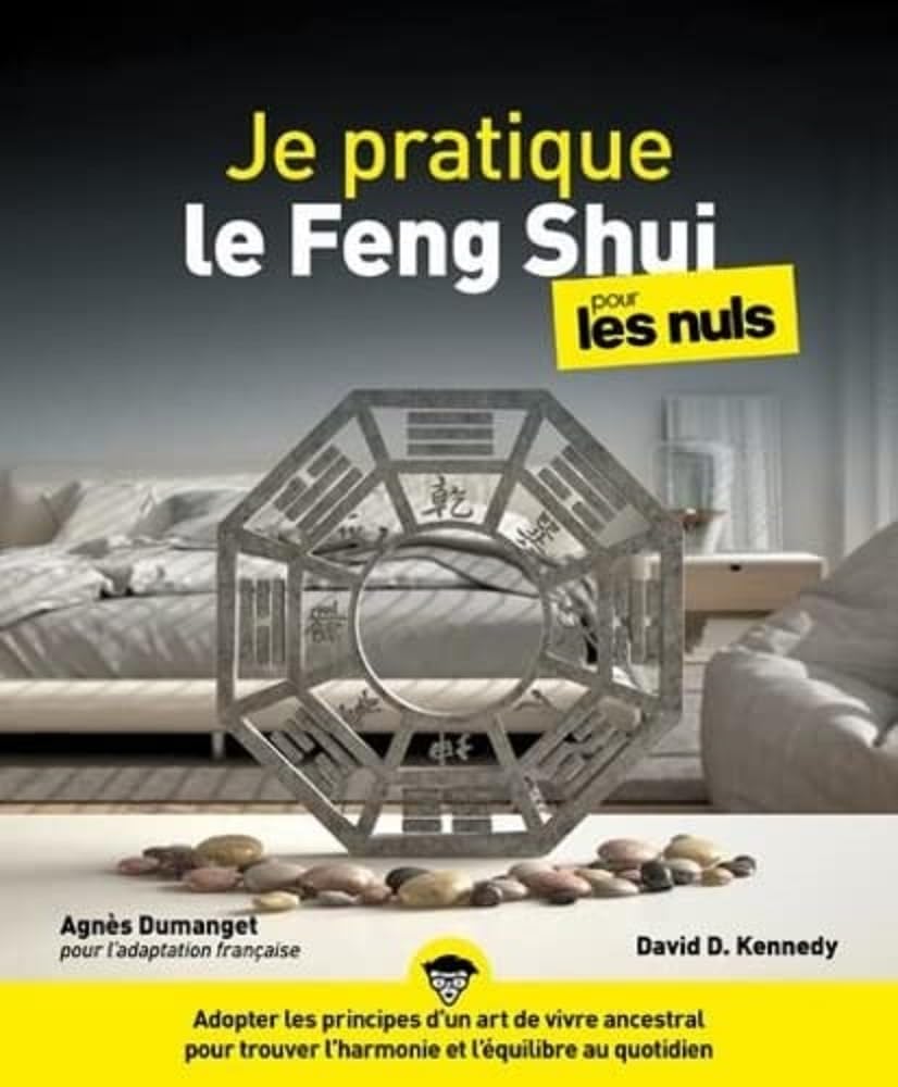 Je pratique le feng shui pour les Nuls, grand format book