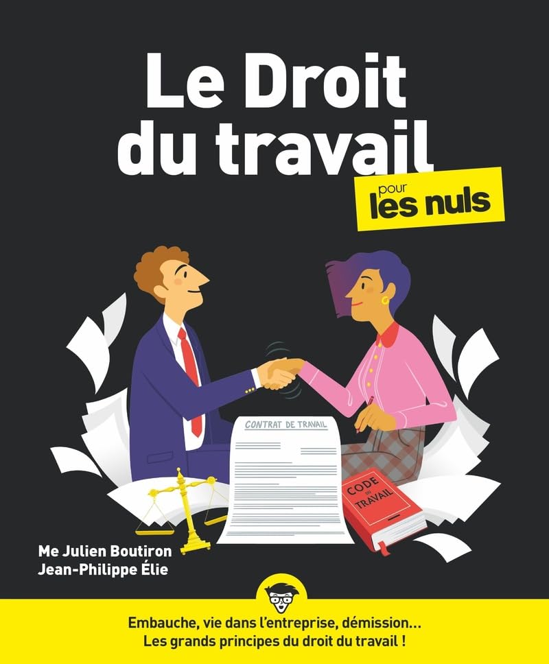 Le Droit du travail pour les Nuls, grand format, 6e éd Law