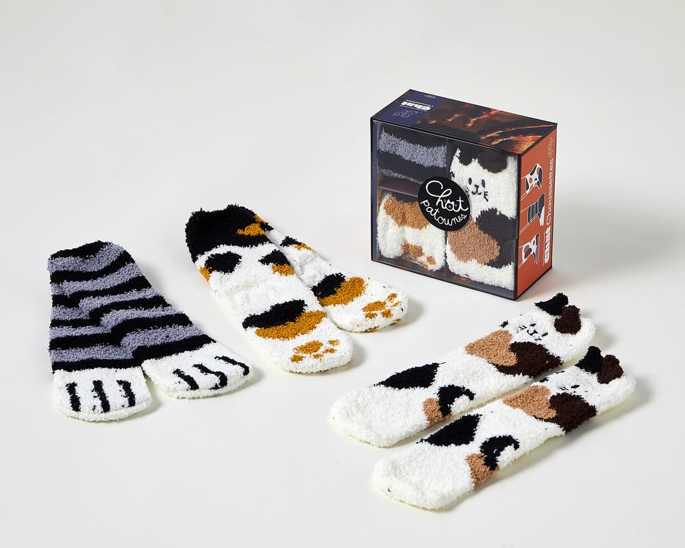 Coffret Les goûters de la famille Chat chaussettes, 3e éd. book