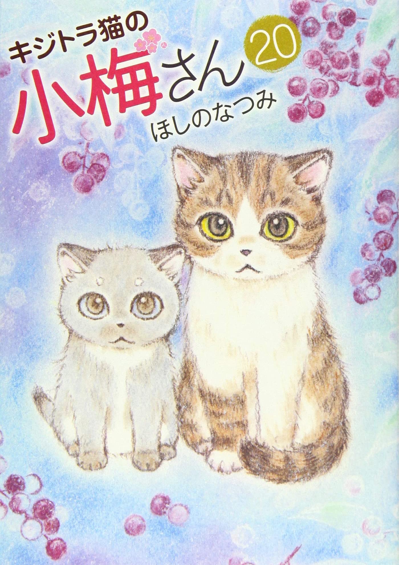 Plum, un amour de chat T20 book
