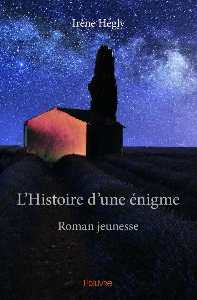 L'histoire d'une énigme : Roman jeunesse book